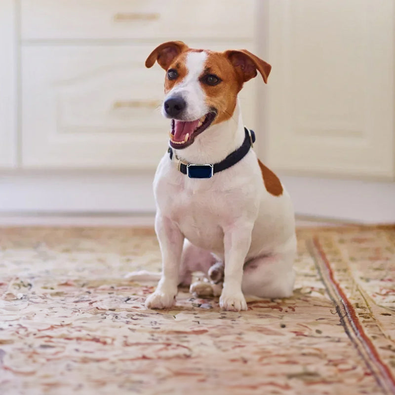 GPS pet tracker