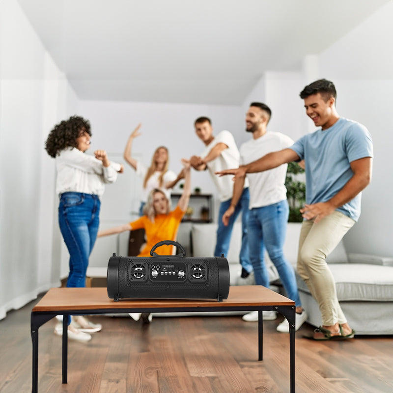Wireless Karaoke Speaker
