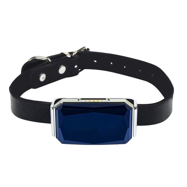 GPS pet tracker