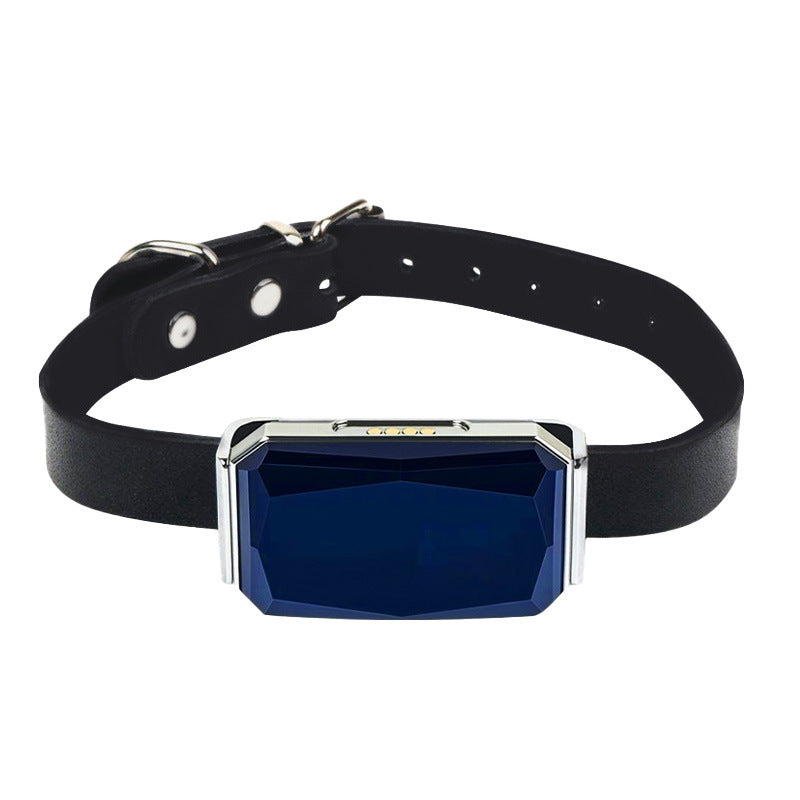 GPS pet tracker