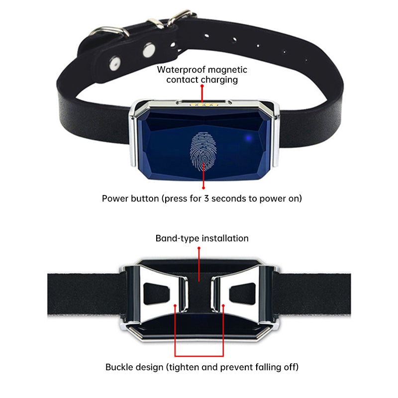 GPS pet tracker