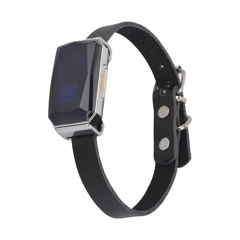 GPS pet tracker
